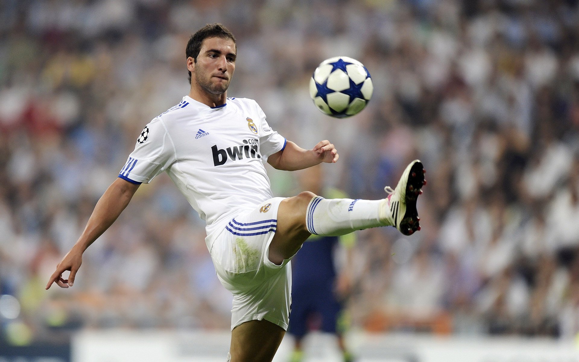 综合体育系三大球联赛总决赛开打 看台座无虚席